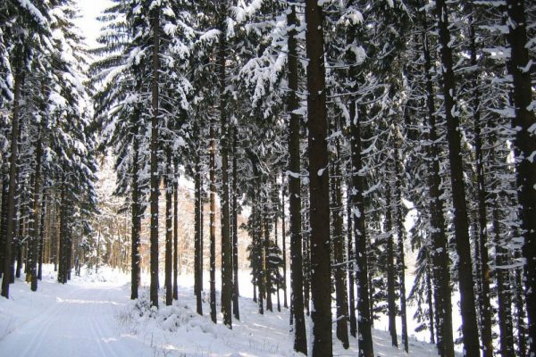 Winter im Sauerland - Ferienwohnung Sonnenhang Attendorn - Lichtringhausen
