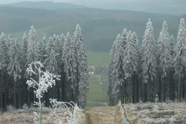 Ausblicke im Winter - Ferienwohnung Sonnenhang Attendorn - Lichtringhausen